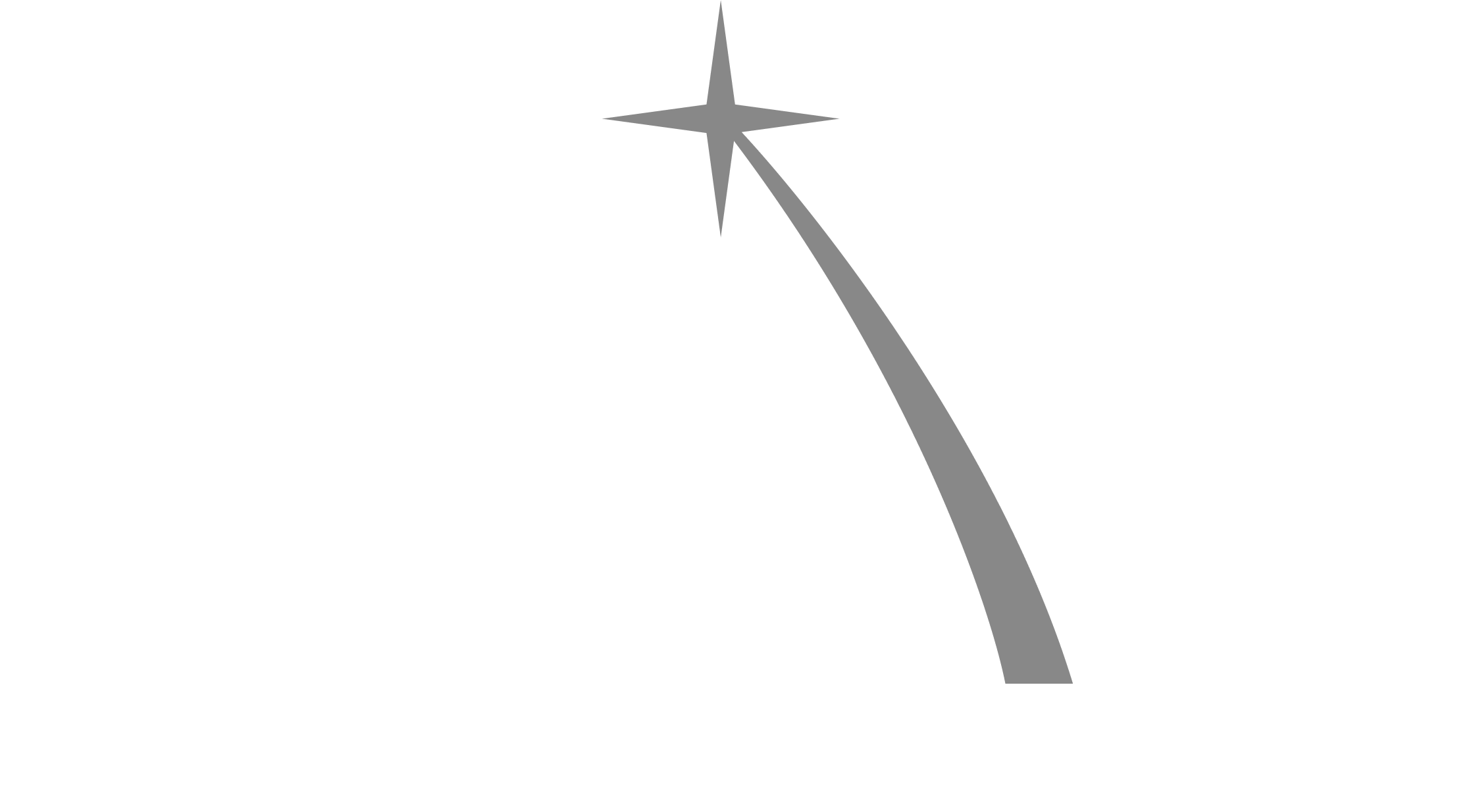 SSNF